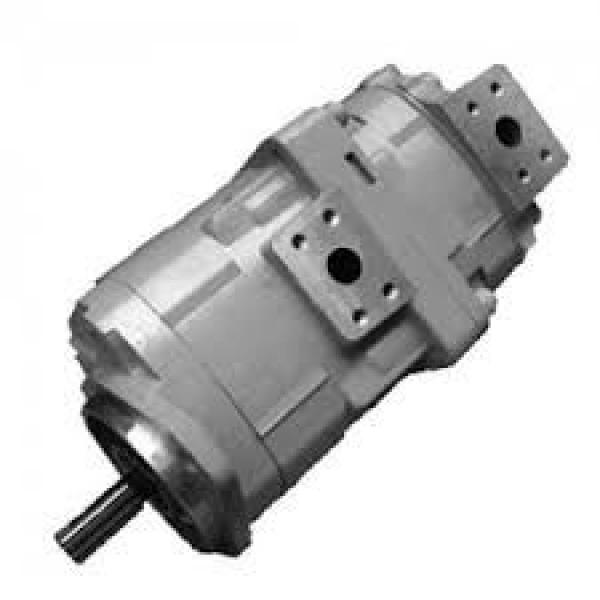 362-17-41101 Komatsu Gear Pump Origine Japon #1 image